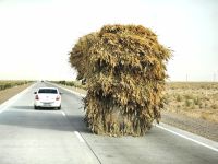 Suchbild: Wo ist der LKW? &ndash; &copy; Simone Willner (Eberhardt TRAVEL)
