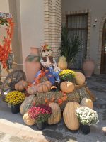 2026_UZB - Herbst in Taschkent &ndash; &copy; Dieter Braune (Eberhardt TRAVEL)