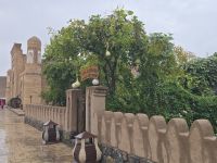 2026_UZB - Xiva: Melonenbaum &ndash; &copy; Dieter Braune (Eberhardt TRAVEL)