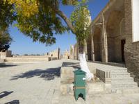 Chor Bakr Nekropole &ndash; &copy; Sabine Letzybyll (Eberhardt TRAVEL)