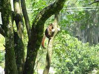 Eichhörnchen &ndash; &copy; Julia Grunwald (Eberhardt TRAVEL)