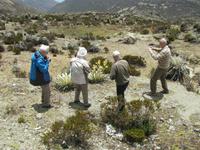 Papparazzi &ndash; &copy; Julia Grunwald (Eberhardt TRAVEL)