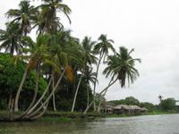 Orinoco-Delta &ndash; &copy; Julia Grunwald (Eberhardt TRAVEL)