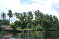 Im Orinoco-Delta &ndash; &copy; Peggy Petzold (Eberhardt TRAVEL)