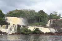 Sapo Huachin &ndash; &copy; Nicole Hickmann (Eberhardt TRAVEL)