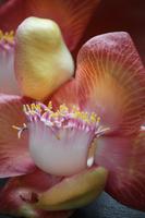 &copy; Nicole Hickmann (Eberhardt TRAVEL)