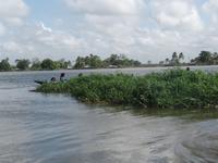 Orinoco-Delta &ndash; &copy; Sylvia Sann (Eberhardt TRAVEL)