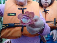Orinoco-Delta &ndash; &copy; Sylvia Sann (Eberhardt TRAVEL)