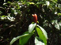 Orinoco-Delta &ndash; &copy; Sylvia Sann (Eberhardt TRAVEL)