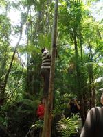Orinoco-Delta &ndash; &copy; Sylvia Sann (Eberhardt TRAVEL)