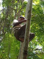 Orinoco-Delta &ndash; &copy; Sylvia Sann (Eberhardt TRAVEL)