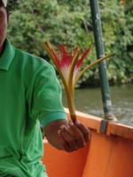 Orinoco-Delta &ndash; &copy; Sylvia Sann (Eberhardt TRAVEL)