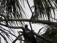 Orinoco-Delta &ndash; &copy; Sylvia Sann (Eberhardt TRAVEL)