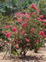 Canaima-Nationalpark &ndash; &copy; Sylvia Sann (Eberhardt TRAVEL)