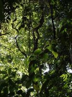 Canaima-Nationalpark &ndash; &copy; Sylvia Sann (Eberhardt TRAVEL)
