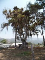 Hacienda El Carmen &ndash; &copy; Sylvia Sann (Eberhardt TRAVEL)