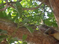 El Cedral &ndash; &copy; Sylvia Sann (Eberhardt TRAVEL)