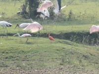 El Cedral &ndash; &copy; Sylvia Sann (Eberhardt TRAVEL)