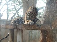 &copy; Sylvia Sann (Eberhardt TRAVEL)