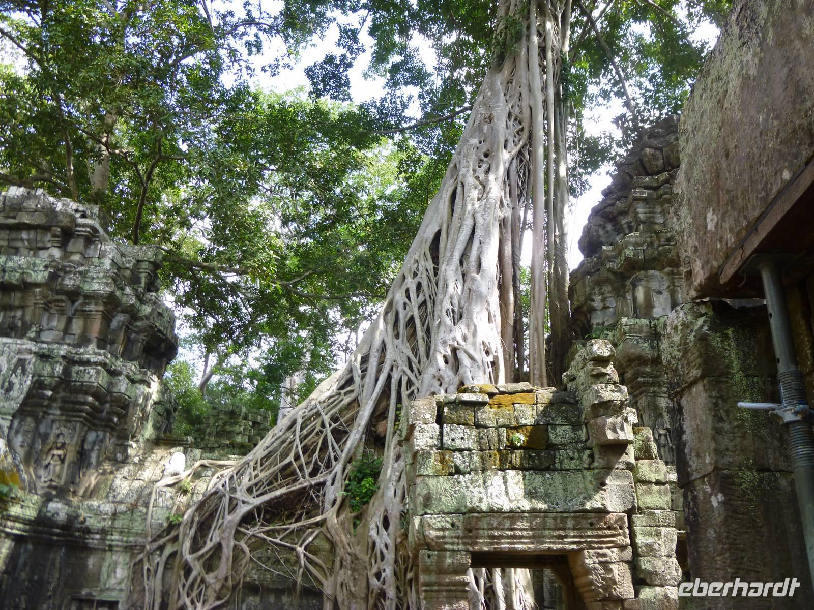Dschungeltempel &ndash; &copy; Vicky Kern (Eberhardt TRAVEL)