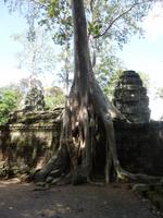 Dschungeltempel &ndash; &copy; Vicky Kern (Eberhardt TRAVEL)