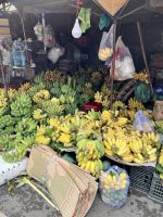 77 Bananen auf dem Wochenmarkt.jpeg &ndash; &copy; Andy Nguyen (Eberhardt TRAVEL)