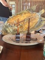 105 Elefantenohrfisch.jpeg &ndash; &copy; Andy Nguyen (Eberhardt TRAVEL)