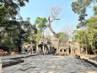 170 Ta Prohm.jpeg &ndash; &copy; Andy Nguyen (Eberhardt TRAVEL)