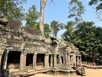 173 Ta Prohm.jpeg &ndash; &copy; Andy Nguyen (Eberhardt TRAVEL)