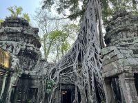 176 Ta Prohm.jpeg &ndash; &copy; Andy Nguyen (Eberhardt TRAVEL)