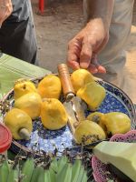 186 Cashew Nüsse.jpeg &ndash; &copy; Andy Nguyen (Eberhardt TRAVEL)