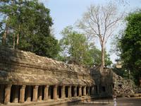 Ta Prohm &ndash; &copy; Ralf Kuchenbecker (Eberhardt TRAVEL)