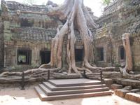 Ta Prohm &ndash; &copy; Ralf Kuchenbecker (Eberhardt TRAVEL)