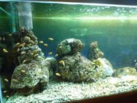Aquarium Nha Trang (1) &ndash; &copy; Daniela Paulan (Eberhardt TRAVEL)