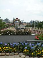 Blumenpark Da Lat (13) &ndash; &copy; Daniela Paulan (Eberhardt TRAVEL)