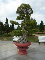Blumenpark Da Lat (18) &ndash; &copy; Daniela Paulan (Eberhardt TRAVEL)