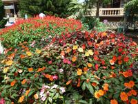 Blumenpark Da Lat (26) &ndash; &copy; Daniela Paulan (Eberhardt TRAVEL)
