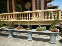 Blumenpark Da Lat (30) &ndash; &copy; Daniela Paulan (Eberhardt TRAVEL)