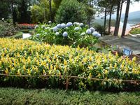 Blumenpark Da Lat (33) &ndash; &copy; Daniela Paulan (Eberhardt TRAVEL)