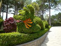 Blumenpark Da Lat (35) &ndash; &copy; Daniela Paulan (Eberhardt TRAVEL)