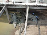 Bootsfahrt auf dem Tonle Sap-See (7) &ndash; &copy; Daniela Paulan (Eberhardt TRAVEL)