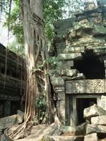 Dschungeltempel Ta Prom (14) &ndash; &copy; Daniela Paulan (Eberhardt TRAVEL)