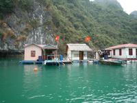 Dschunkenfahrt in der Ha Long-Bucht (101) &ndash; &copy; Daniela Paulan (Eberhardt TRAVEL)