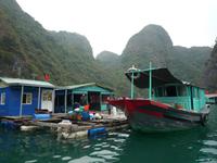 Dschunkenfahrt in der Ha Long-Bucht (97) &ndash; &copy; Daniela Paulan (Eberhardt TRAVEL)