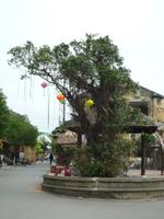 Hoi An (22) &ndash; &copy; Daniela Paulan (Eberhardt TRAVEL)