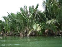 Hoi An (52) &ndash; &copy; Daniela Paulan (Eberhardt TRAVEL)