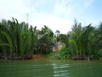 Hoi An (55) &ndash; &copy; Daniela Paulan (Eberhardt TRAVEL)