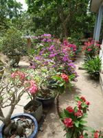 Im Mekong Delta (2) &ndash; &copy; Daniela Paulan (Eberhardt TRAVEL)