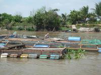 Im Mekong Delta (82)