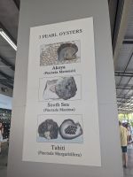113. Perlenfarm &ndash; &copy; Teresa Rumpel (Eberhardt TRAVEL)